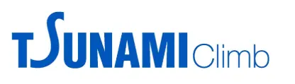Web Tsunami